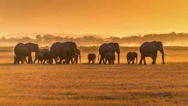 Serengeti National Park